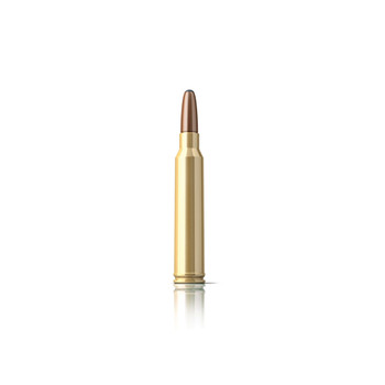 SELLIER & BELLOT 300 Win. Mag 180 Grain Exergy Ammo, 20 Round Box (SB300XA)