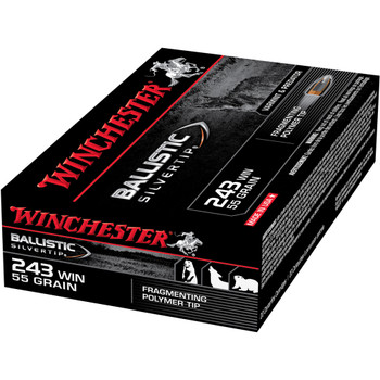 WINCHESTER Ballistic Silvertip 243 Win 55Gr Poly Tip 20rd Box Bullets (SBST243)