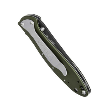 KERSHAW Leek 3in Olive Folding Knife (1660OLBWST)