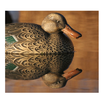 AVERY 6 Pack of Over-Size Shoveler Decoys (73010)