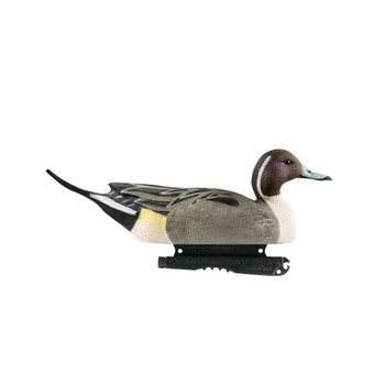 AVERY Hunter Series Life Size Pintail Decoys, 6-Pack (73033)