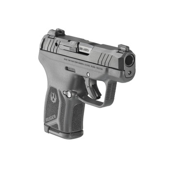 RUGER LCP MAX .380 ACP 10-Rounds 2.8in Pistol with Lockbox (13743)