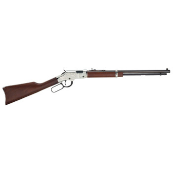 HENRY REPEATING ARMS Silver Eagle 17HMR 20in 11rd Lever Action Rifle (H004SEV)