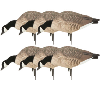 AVERY Pack of 6 Hunter Series Canadas Feeder Decoys (71596)