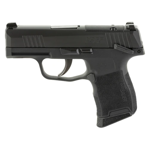 SIG SAUER P365 380ACP 3.1in (2) 10rd Mag Semi-Action Pistol (365-380-BSS-MS-MA)
