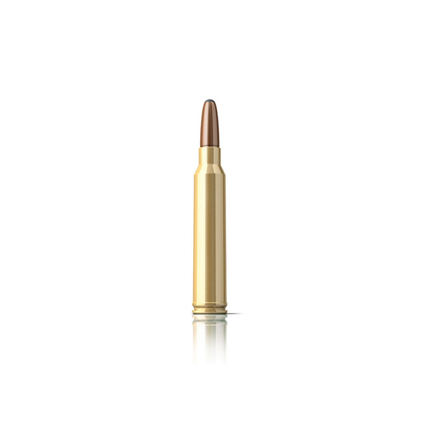 SELLIER & BELLOT 300 Win. Mag 180 Grain Exergy Ammo, 20 Round Box (SB300XA)