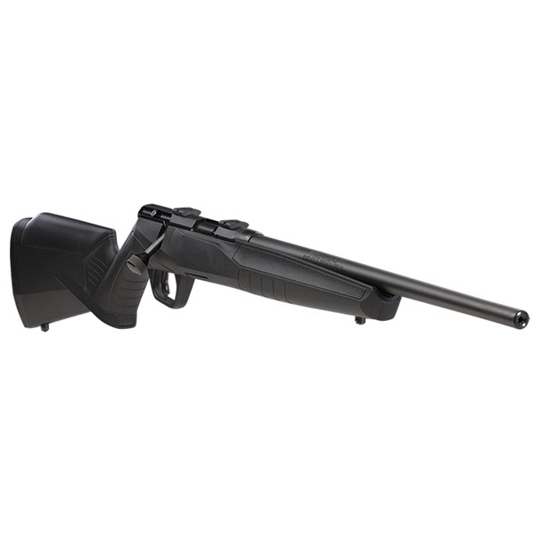 SAVAGE B17 F Compact 17 HMR 18in 10rd Matte Black Rimfire Rifle (70814)