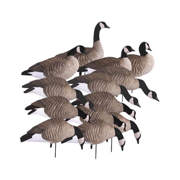 AVERY 12 Pack of Lesser Canada Harvester Decoys (72323)