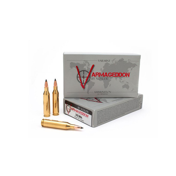 NOSLER Varmageddon .243 Win 55Gr FBT 20rd Box Rifle Ammo (65165)