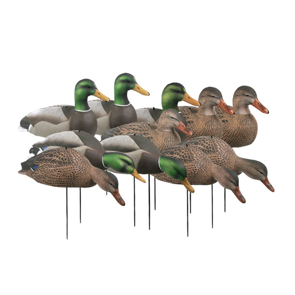 AVERY 12 Pack of Over-Size Mallard Shell Harvester Decoys (70167)