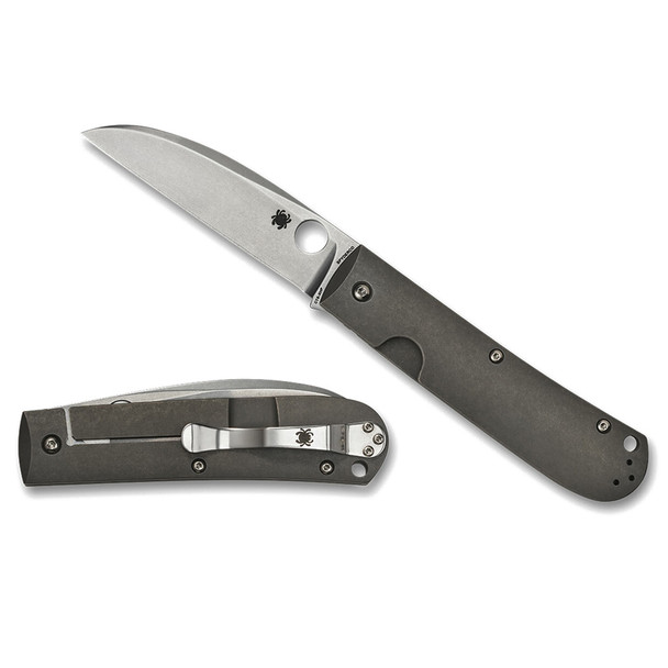 SPYDERCO SwayBack Titanium Folding Knife (C249TIP)