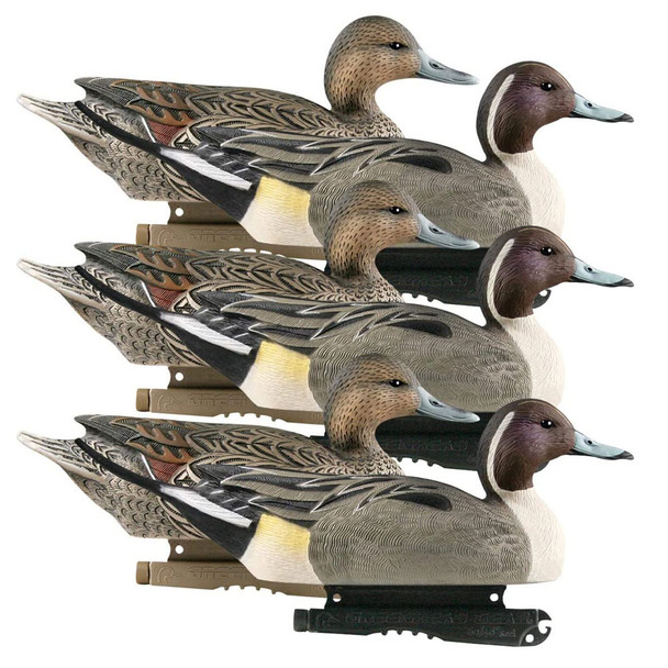 AVERY Hunter Series Life Size Pintail Decoys, 6-Pack (73033)