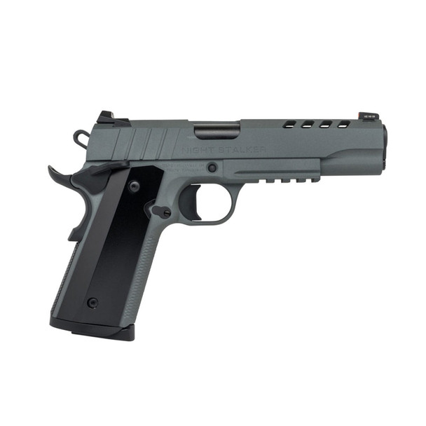 TISAS 1911 Night Stalker 9mm 5in 9rd Platinum Gray Semi-Automatic Pistol (10100538)