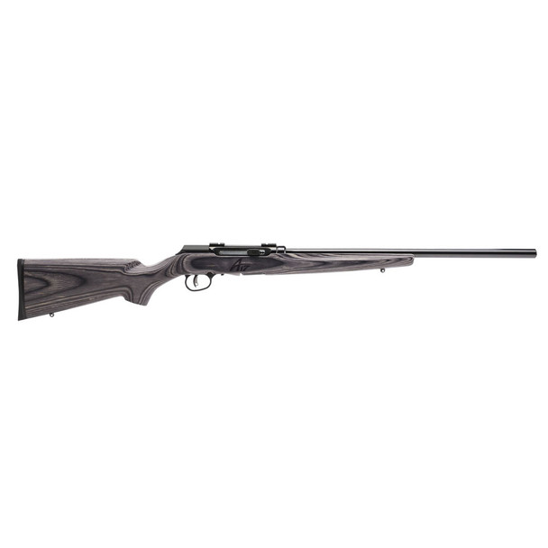SAVAGE A17 .17 HMR 22in 10rd Semi-Auto Rifle (47008)