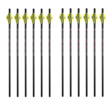 Shop EXCALIBUR Quill 16.5in Carbon 2x6 Pack Crossbow Arrows (22QV16-6-x2-BUNDLE). Buy best Arrows from gritrsports.com | Reviews and Shipping options available