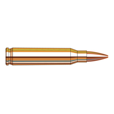 Ammunition Exhibit: Small Caliber High Velocity Program  (SCHV)