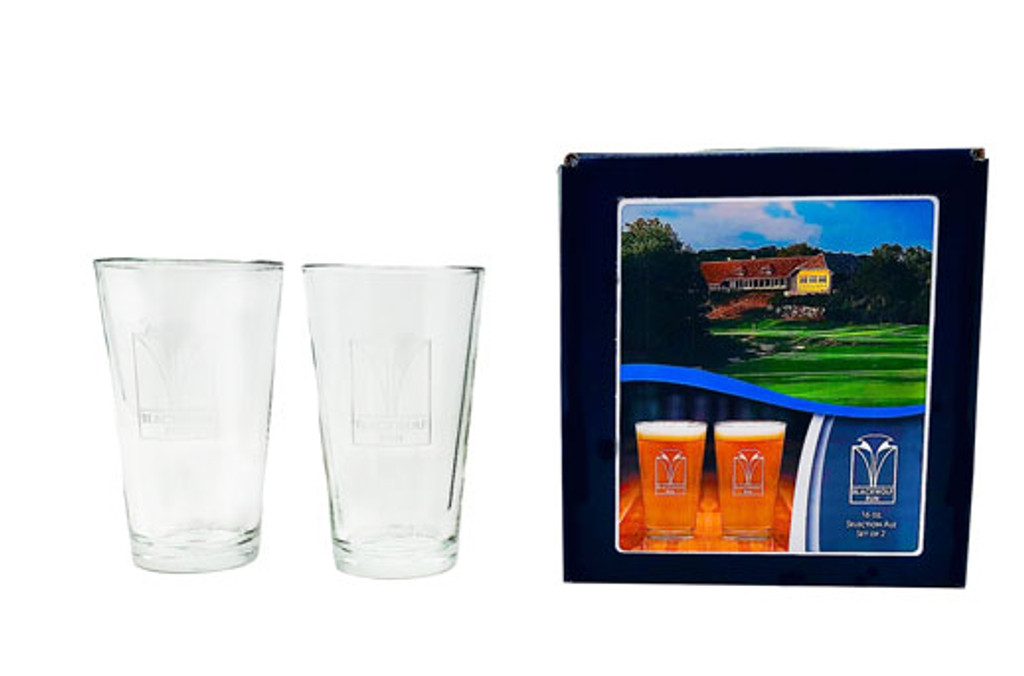 Double Wall Beer Glasses Set of 2