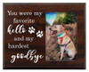 Pet Walnut Wood Picture Frame - My favorite Hello