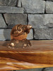 Awakening Turtle Cast Bronze Keepsake Cremation Urn