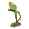 Bejeweled Large Parrot On Branch Books Keepsake Box