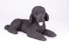 Black Standard Poodle Hollow Figurine Dog Urn - 2765