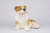 Brindle White Bulldog Hollow Figurine Dog Urn - 2724