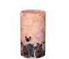 Cat Lovers Eco Friendly Cremation Urn Scattering Tube