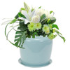 Celadon Blue Plant System Cremation Urn For Flowers Or Plants