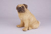 Fawn Pug Hollow Figurine Dog Urn - 2769