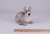 Gray White Rabbit Hollow Figurine Urn - 2712