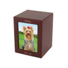 Medium Cherry Finish MDF Wood Photo Pet Cremation Urn