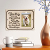 Personalized My Favorite Hello Pet Memorial Marker Wall Plaque - 9 Colors