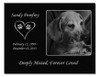 Photo Laser-Engraved Pet Black Granite Memorial Plaque