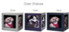 Large Rotating Photo Cube Pet Urn in 3 Color Choices