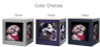 Large Violet Photo Cube Pet Cremation Urn