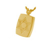 Star of David Cremation Jewelry in 14k Gold Plated Sterling Silver