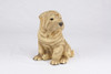 Tan Shar Pei Hollow Figurine Urn - 2778