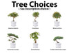 White Bonsai Tree System Cremation Urn