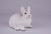 White Rabbit Hollow Figurine Urn - 2714