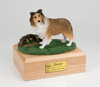 Sable Sheltie Dog Urn - 1680