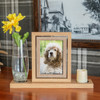 Cherished Reflections Pet Sympathy Gift and Pet Paw Print Keepsake Collection