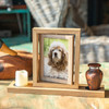 Cherished Reflections Pet Sympathy Gift and Pet Paw Print Keepsake Collection