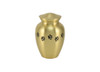 Paw Print Gold Classic Vase Style Pet Cremation Urn - Case Quantity
