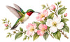 Hummingbird Glory Eternal Reflections Wood Cremation Urn