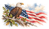 Valor Eagle Flag Eternal Reflections Wood Cremation Urn