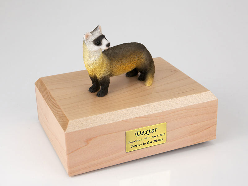 monthly ferret box