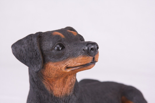 Black Tan Miniature Pincher Hollow Figurine Dog Urn - 2759