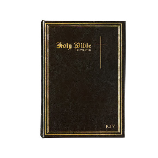 Holy Bible Brown Book Safe Cremation Urn
