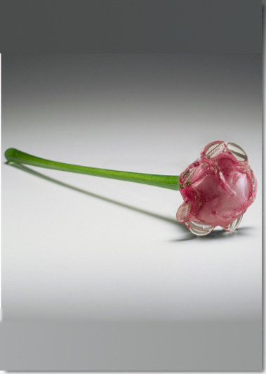 Pink Eternal Bloom Cremains Encased in Glass Cremation Long Stem Rose