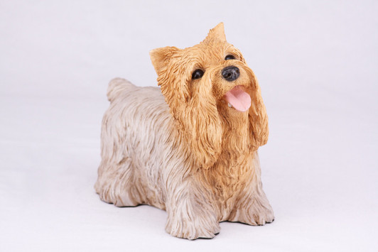 Youthful Standard Yorkshire Terrier Hollow Figurine Urn - 2790